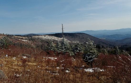 near Thomas Knob1