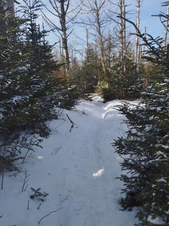 Snowy Trail