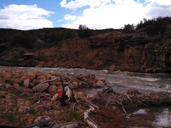 Passing back by one of the bonus rapids