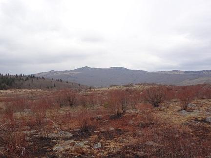 Scenery