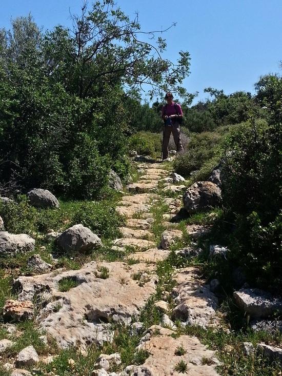 Ancient road