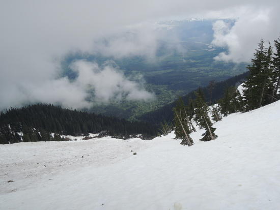 white-14