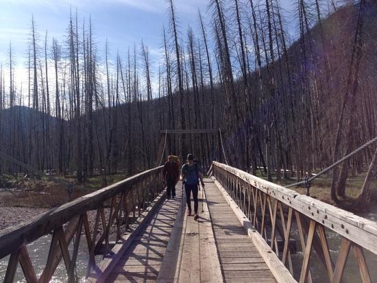 Bridge