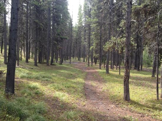 trail