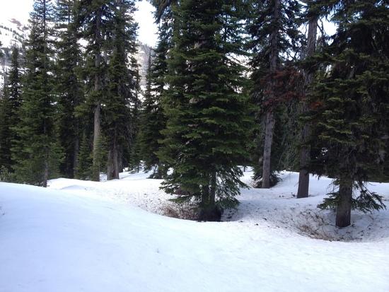 snow