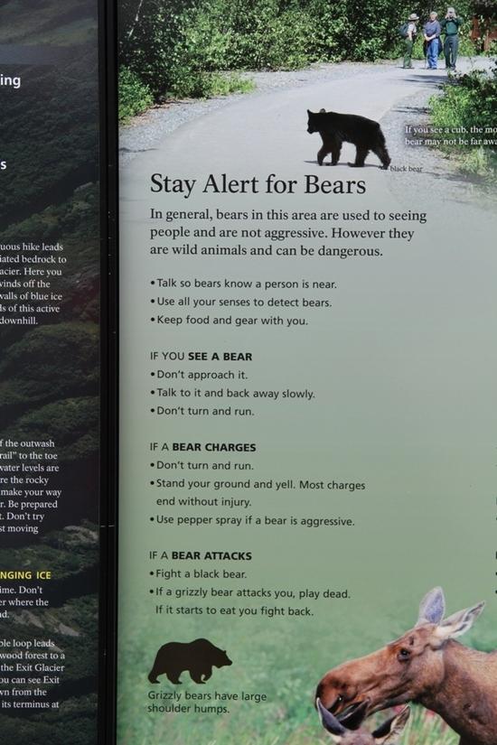 Bear Sign
