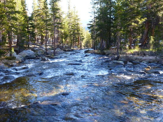 Lyell Fork descending to TM