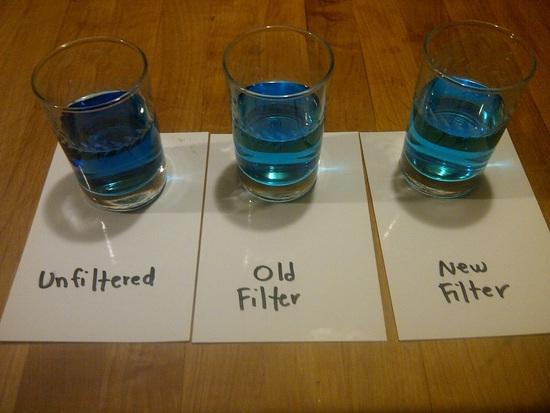 Blue Dye Experiment Round 2