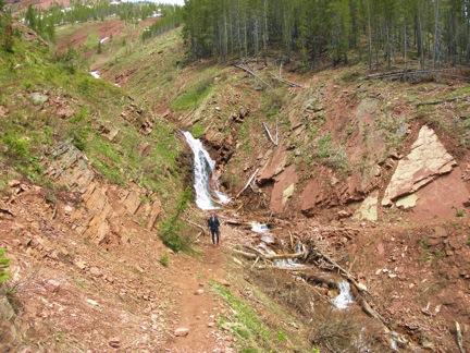 iBroken piles of tree trunks and detritus left behind from multiple avalanches/i