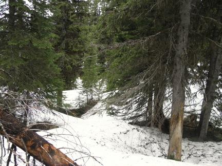 iFirm snow made the going relatively easy on both sides of Lower Twin Creek Pass./i