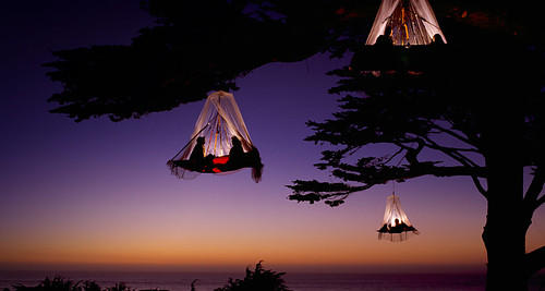 tree camping
