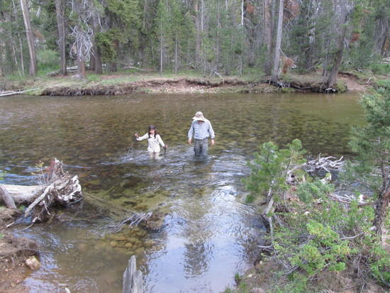 Our daughter Elisabeth wading through West Walker River