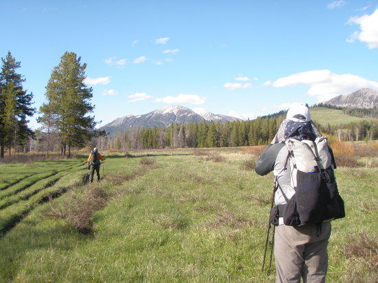 Sun River Trail