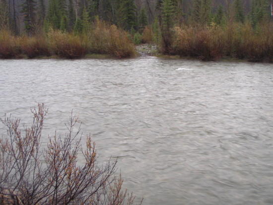 Strawberry Creek