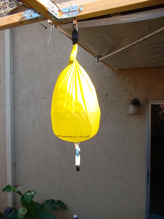 bag