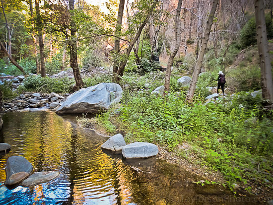 Early Morning along the West Fork
