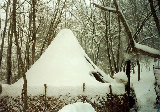 Tipi