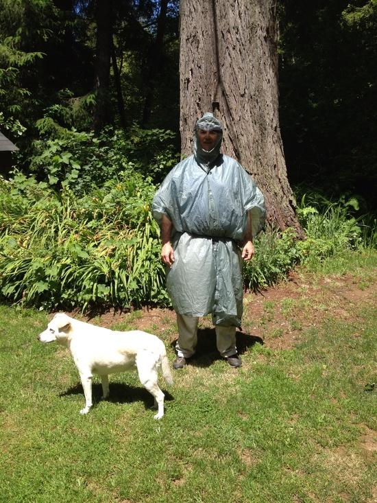 Dogs fear me.