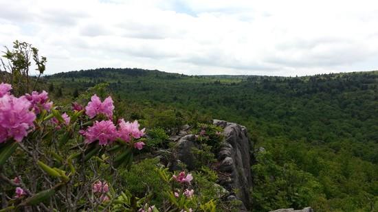 Grayson Highlands