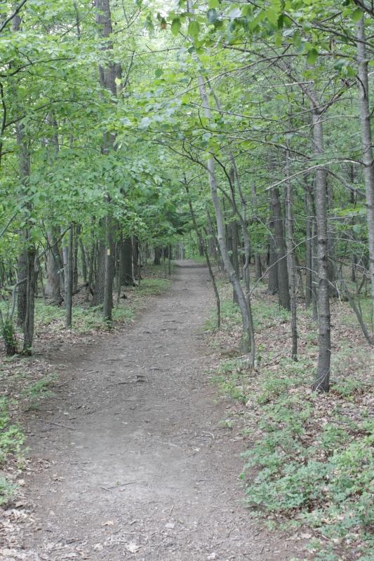Early Letchworth Trail