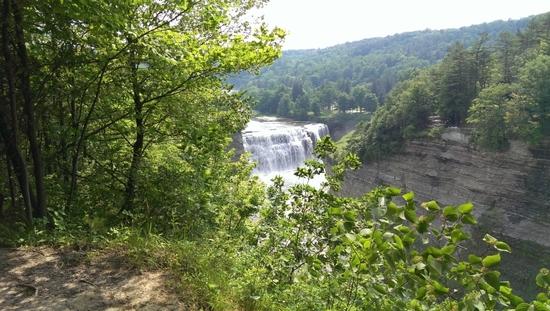 Falls