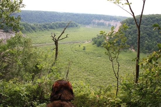 Letchworth