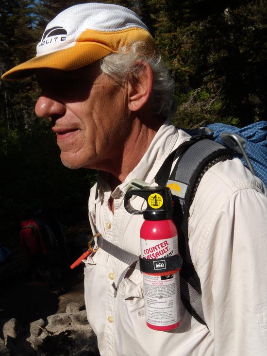 Bear spray on pack strap
