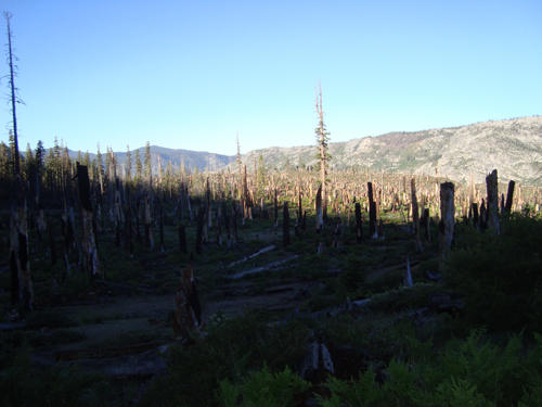photo 77