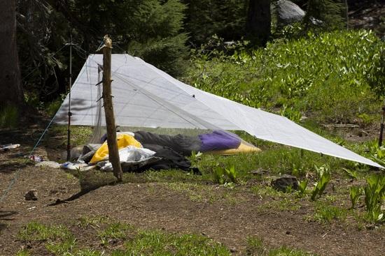 Tarp 2