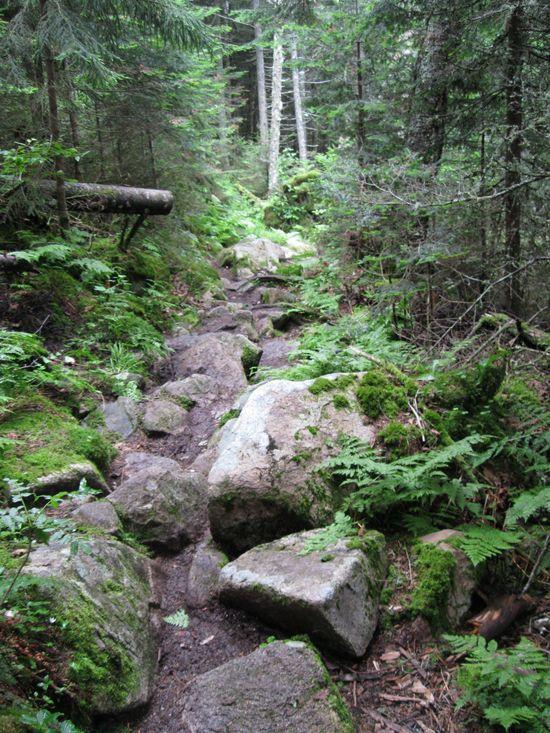 trail