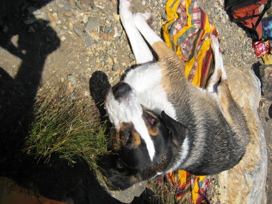 after a long day's hike