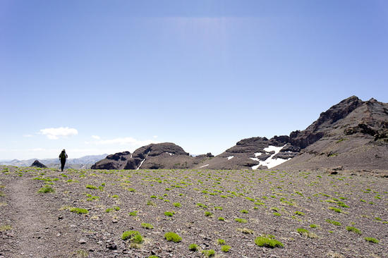 Sonora003
