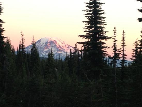 Mt Adams