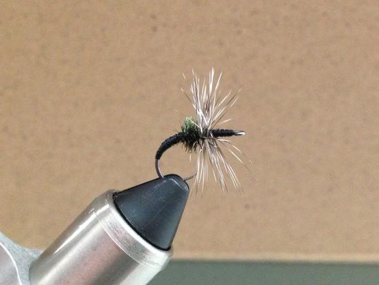 Don't really know what to call this, the Dr Ishigaki Takayama Combo?