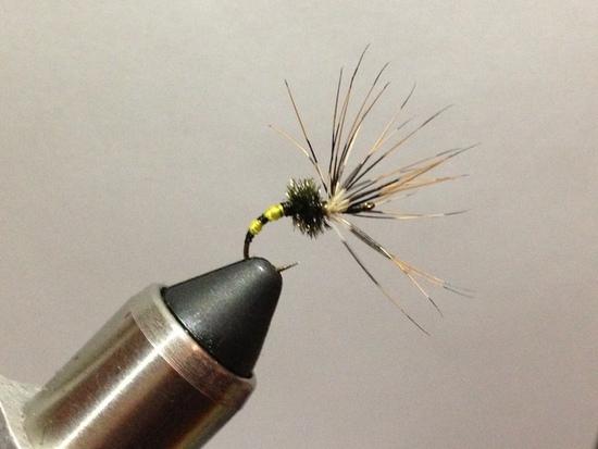 Takayama Stinger