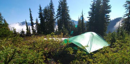 tent + tarp