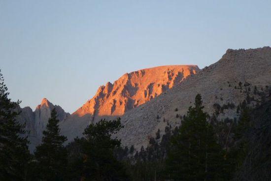 lig