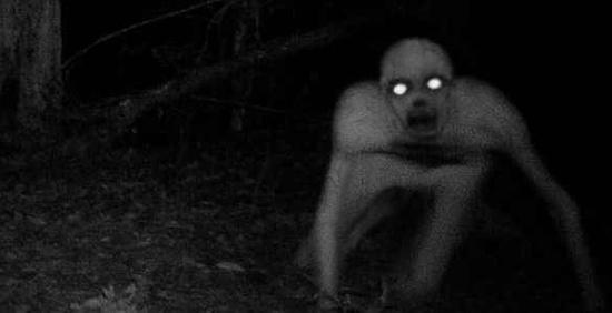 NC MONSTER