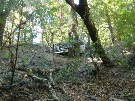 Car wrecks along the trail