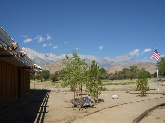 Lone Pine