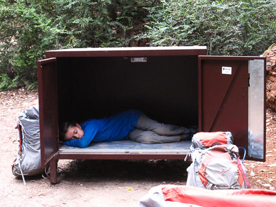 Bear-resistant cabins