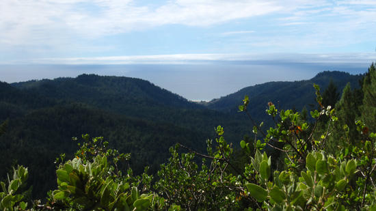 The outlook