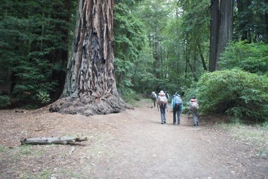 Big Basin