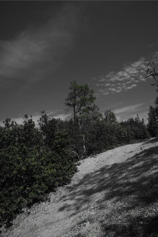 Mc Crary ridge