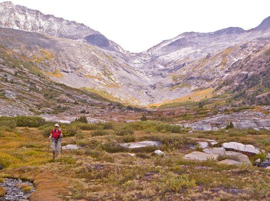 Lion Pass