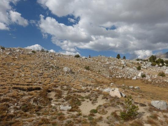 Slope leaving Piute Pass trail