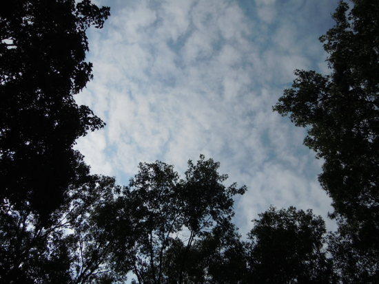 TEST#2