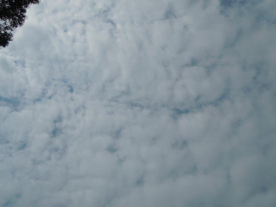 TEST#6
