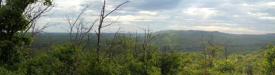 iuyg