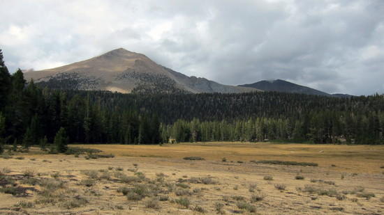 CP2